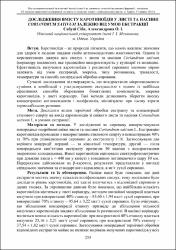 Ескіз