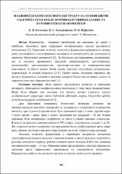Ескіз