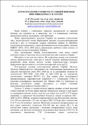 Ескіз