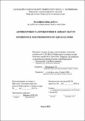 Ескіз