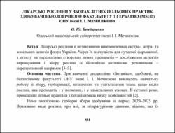 Ескіз