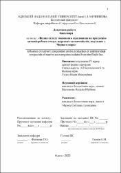 Ескіз