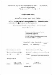 Ескіз