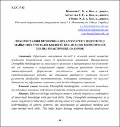 Ескіз