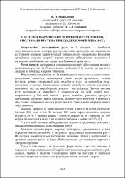 Ескіз