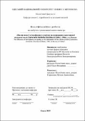 Ескіз