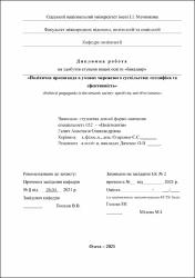 Ескіз