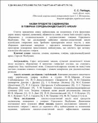 Ескіз
