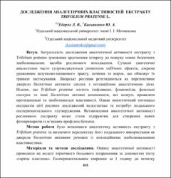 Ескіз