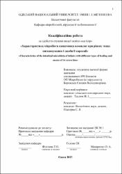 Ескіз