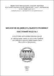 Ескіз