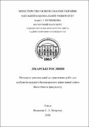 Ескіз