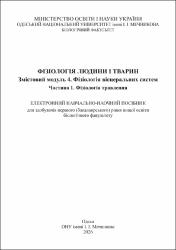 Ескіз