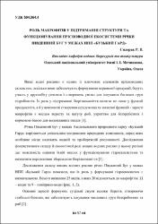 Ескіз