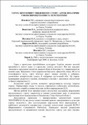 Ескіз