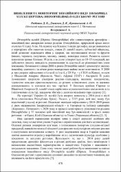 Ескіз