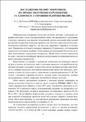 Ескіз