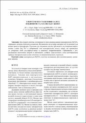 Ескіз