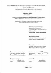 Ескіз