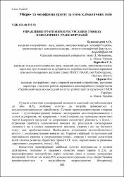 Ескіз