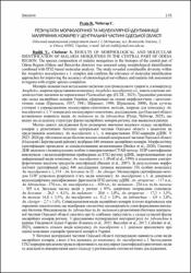 Ескіз