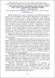 Ескіз
